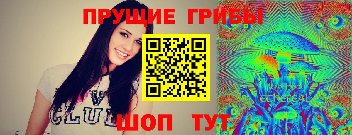 Галлюциногенные грибы GOLDEN TEACHER  Псилоцибиновые грибы Psilocybe  Вход с VPN  продажа наркотиков  Ликино-Дулёво 